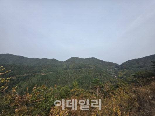 말티재 숲에서 바라본 속리산 전경. (사진=박진환 기자)