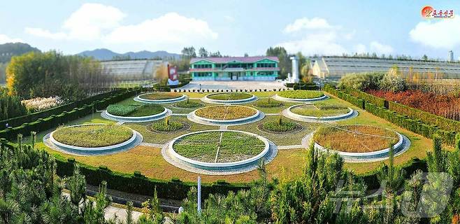 (평양 노동신문=뉴스1) = 북한 노동당 기관지 노동신문은 10일 "경애하는 총비서 동지의 구상에 따라 산림복구가 개시된 이래 각지에 현대적인 양묘장들이 일떠서고 100여만 정보의 산림이 새로 조성됐으며 1만여 개의 단위가 사회주의 애국림 칭호를 쟁취하였다"라고 보도했다. [국내에서만 사용가능. 재배포 금지. DB 금지. For Use Only in the Republic of Korea. Redistribution Prohibited] rodongphoto@news1.kr