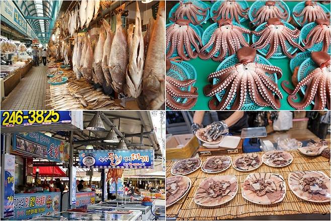(좌로부터 시계방향)경북 최대 어시장인 죽도시장 풍경, 문어 사진, 고래고기를 맛볼 수 있는 죽도시장, 싱싱한 해산물이 가득한 죽도시장