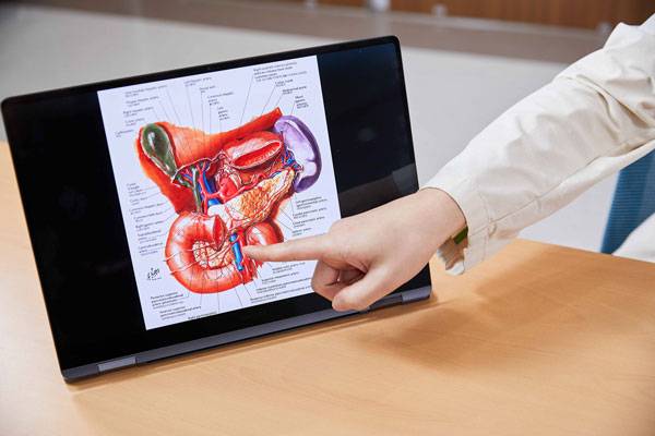 췌장의 모습/사진=신지호 기자