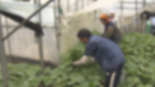 사진은 기사와 관련 없음