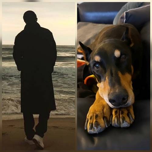 배우 배정남이 떠나간 반려견 벨을 그리워하며 또다시 마음을 전했다. 사진=SNS