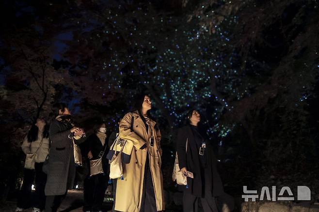 [서울=뉴시스] 정병혁 기자 = 10일 서울 종로구 창경궁에서 열린 2025 야간관람 '동궐동락'을 찾은 관람객들이 궁 내부를 걷고 있다. 2025.11.10. jhope@newsis.com
