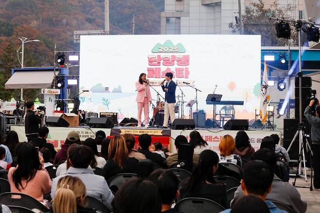 새로운 지역 문화의 가능성을 제시한 '단양갱 페스타'(버스킹공연)