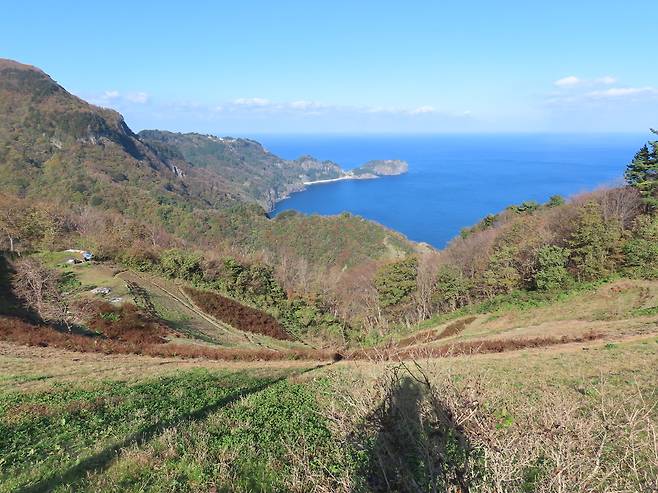 내수전 나물밭 /강제윤 시인 제공