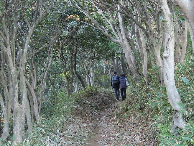 영혼의 길처럼 오붓한 내수전길의 풍경. /강제윤 시인 제공