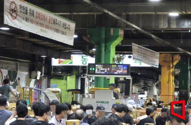 서울 송파구 가락동 농수산물종합도매시장 채소동에서 경매가 이뤄지는 가운데 농산물 중개업자인 중도매인들이 상품을 살펴보고 있다. 김흥순 기자