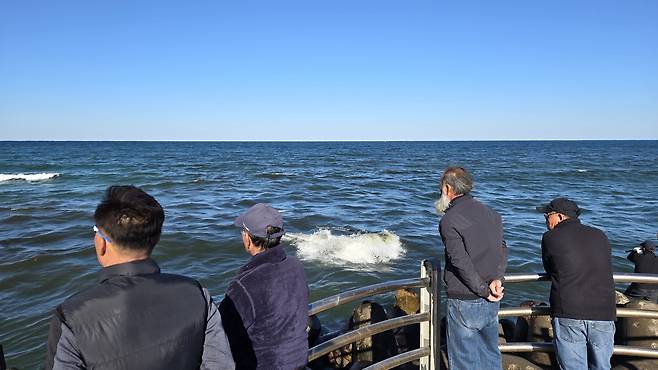 파도 타는 숭어 떼 구경하는 주민들 [촬영 유형재]