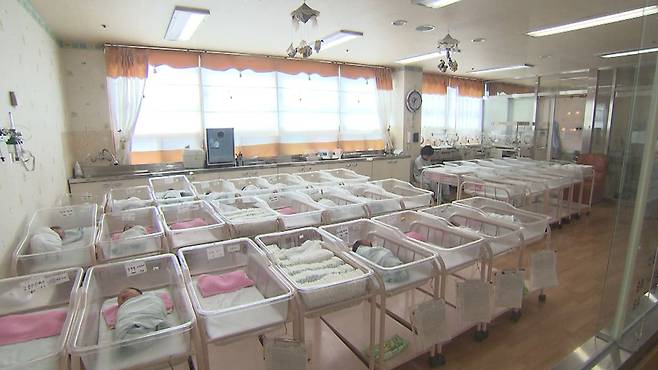 [전주MBC 자료사진]