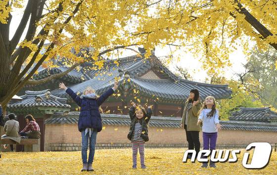 서울 종로구 세종로 경복궁에서 외국인 어린이들이 은행 단풍잎을 던지며 가을을 만끽하고 있다. 2015.11.11/뉴스1 ⓒ News1 신웅수 기자