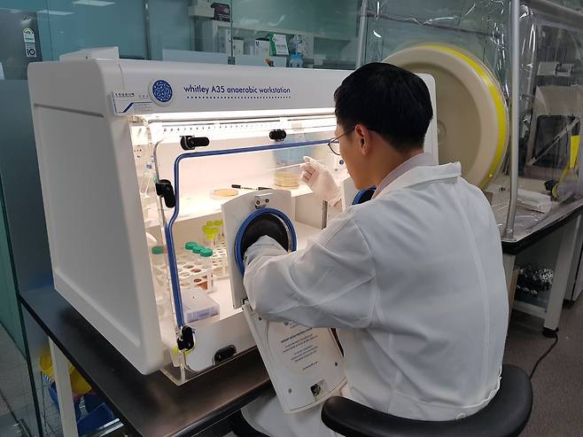 지놈앤컴퍼니 미생물팀 연구원이 실험을 하고 있다.(지놈앤컴퍼니 제공)/뉴스1