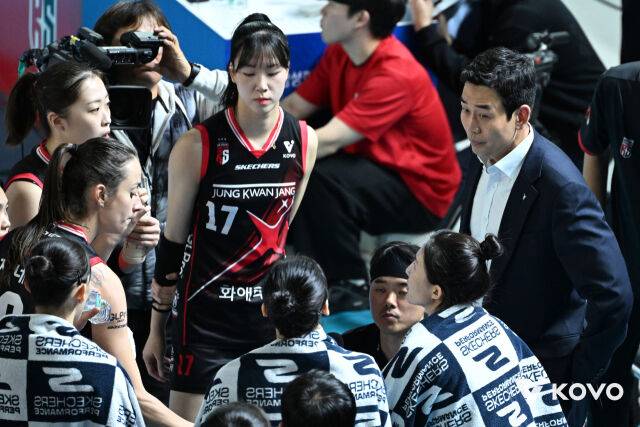 정관장 배구단./KOVO