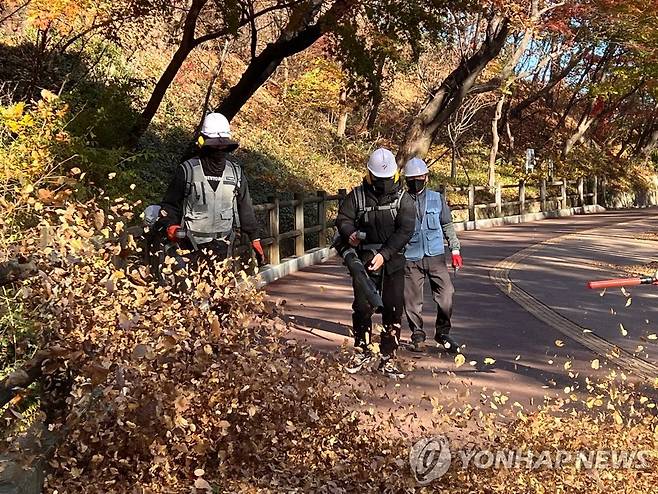 '바람에 날려버려라' (서울=연합뉴스) 서윤호 인턴기자 = 지난 10일 오전 서울 남산공원에서 송풍기를 이용해 낙엽을 청소하고 있다. 2025.11.12