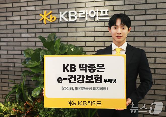 KB라이프, KB 딱좋은 e-건강보험 신상품 출시/사진제공=KB라이프