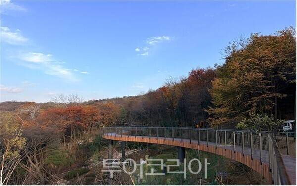 숲 위를 가로지르는 목재 데크 산책로 /서울시 ㅈ공
