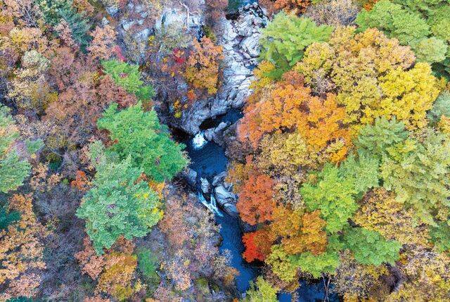홍류동 계곡 가운데 경치가 가장 빼어난 낙화담 일대. 바위 아래로 떨어지는 물줄기가 장쾌하다.