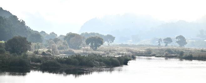 이른 아침 충남 금산 천내리의 금강 변 습지 풍경. 손대지 않고 내버려 둔 자연 습지다. 버드나무가 무성한 습지에는 수달과 황조롱이, 너구리와 어름치, 붉은머리오목눈이 등이 서식하고 있다.