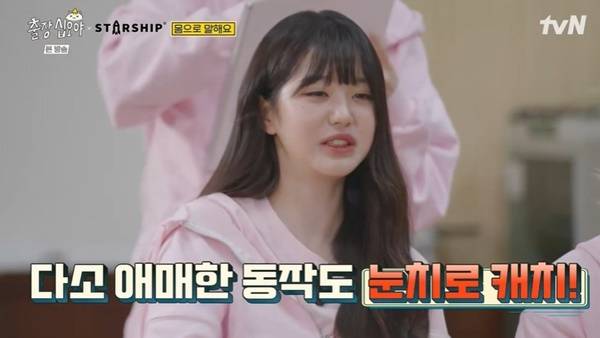 tvN ‘출장 십오야 스타쉽 전국체전’