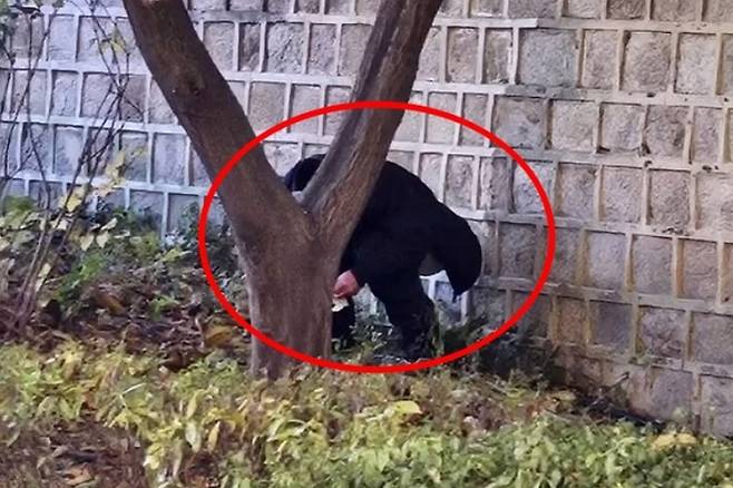 지난 10일 오후 경복궁 돌담길 아래에서 용변 본 남성이 경찰의 제지를 받았다. 서경덕 서울여대 교수는 해당 남성이 70대 중국인 관광객이라고 밝혔다. SNS 캡처