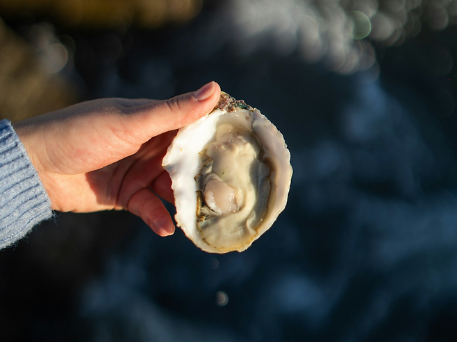 제철 생굴과 최악의 궁합 음식