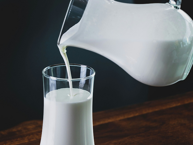 굴 먹고 난 뒤에 마시면 탈이 나는 우유