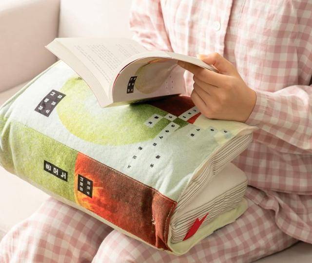 지난달 출시된 온라인 서점 '알라딘'의 책 베개 굿즈. 성해나 소설 '혼모노'의 책 표지와 베개 커버가 똑같다. 출처 알라딘 SNS