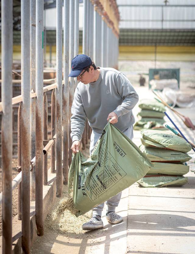 충북 증평 <대창농장>은 연호경 대표 혼자 130마리의 한우를 관리하고 있다.