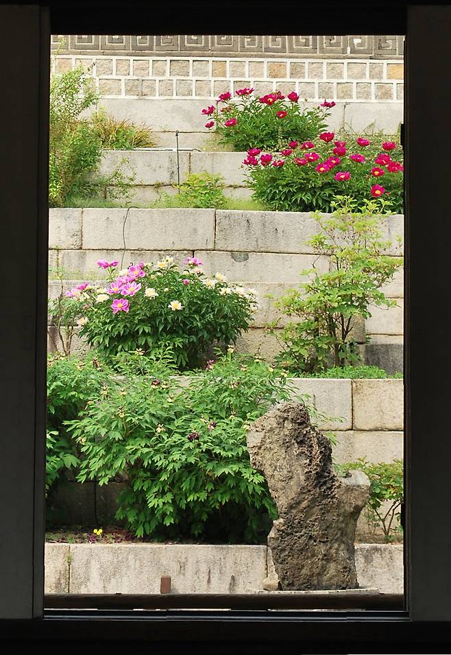 창덕궁 낙선재 뒤 화계와 괴석. 낙선재는 궁에 있는 화계 중 가장 아름다운 경치를 자랑한다. ⓒ신지선 제공