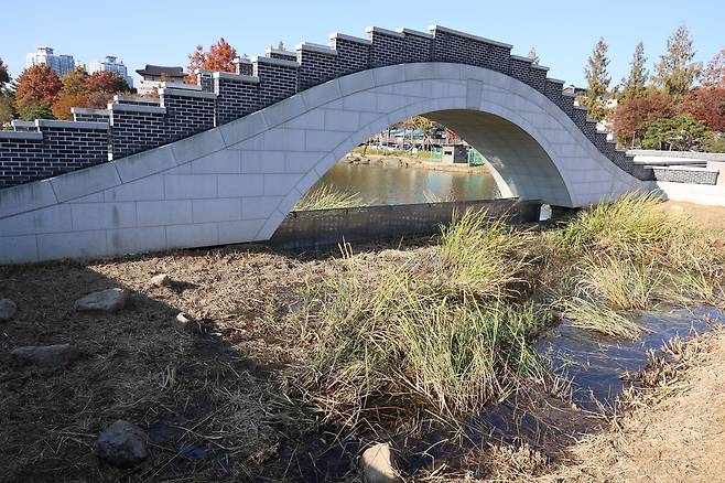 다리 밑 남생이 서식지 [촬영 : 김동철]