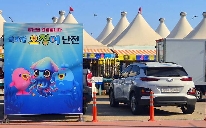 속초항 오징어 난전 방문을 환영합니다 [촬영 류호준]