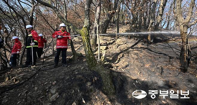 군포시 수리산 슬기봉 인근에 산불이 발생해 산불진화헬기 7대와 차량 약 50대 진화인력 약 130명을 투입해 화재 신고 1시간 20분 만에 완진에 성공한 가운데 16일 오전 군포시 속달동 수리산 슬기봉 인근에서 군포시소방대원들이 잔불처리작업을 하고 있다. 김경민기자