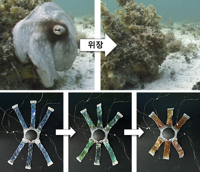 한국과학기술연구원 기능성복합소재연구센터 소속 김대윤 박사 연구팀이 개발한 소프트 로봇 ‘옥토이드’(OCTOID) 설명 자료./KIST