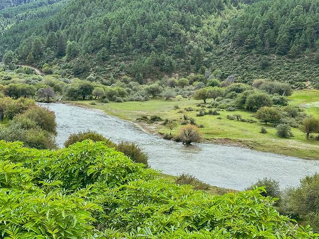 리조트에서 만날 수 있는 풍경  / 사진=권효정 여행+ 기자