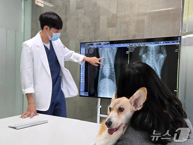 김현주 감독에게 반려견의 상태를 설명하고 있는 김우경 수의사 ⓒ 뉴스1