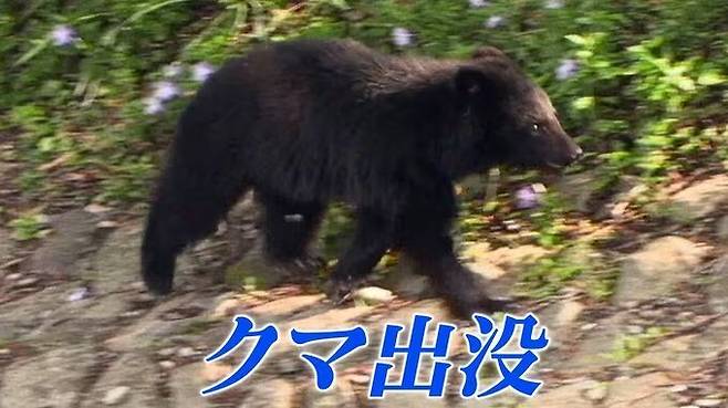 뉴시스
