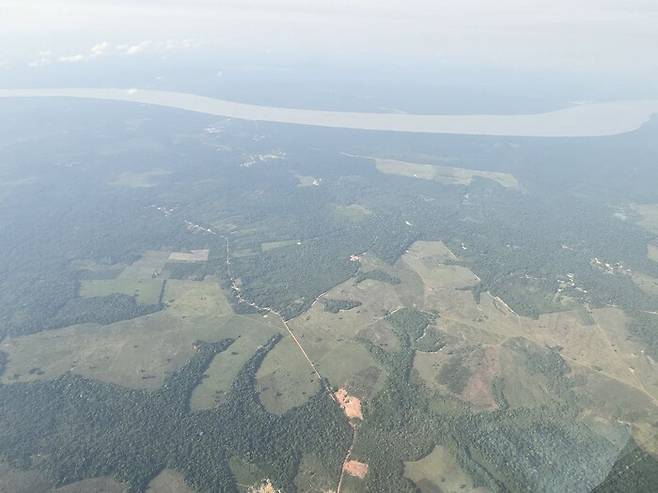 ‘아마존 기후총회’가 열리는 13일 브라질 파라주 상공에서 내려다본 아마존(과마)강 지류 주변 모습. 강 주변을 벌채해 만든 대규모 농장에서 소를 키우거나 작물이 재배된다. 벨렝/옥기원 기자 ok@hani.co.kr