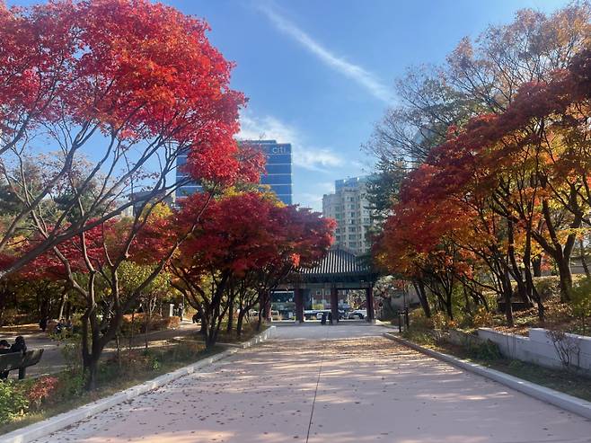 지난주 서울 종로구 경희궁지의 모습./사진=서울시