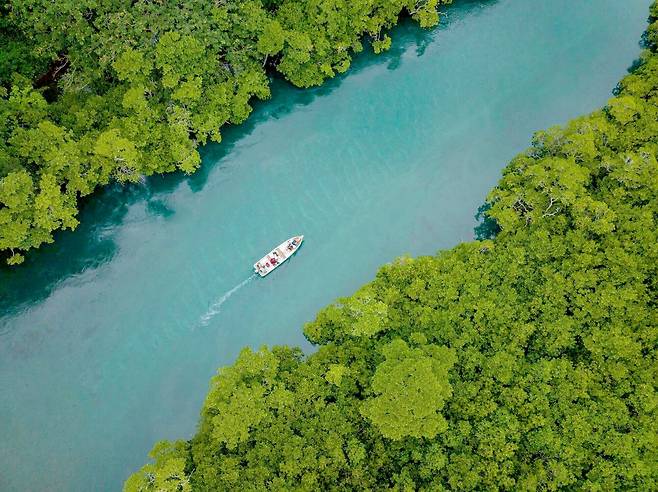 피지로 가는 물꼬가 트였다. 사진은 피지의 자연 해로[피지관광청·피지항공 제공]