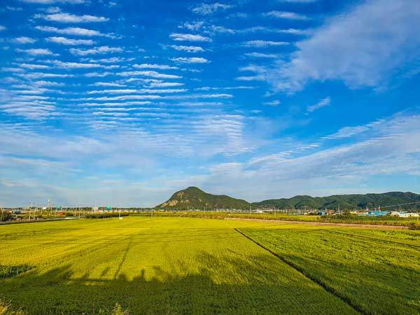 들녘에서 바라본 상대산.