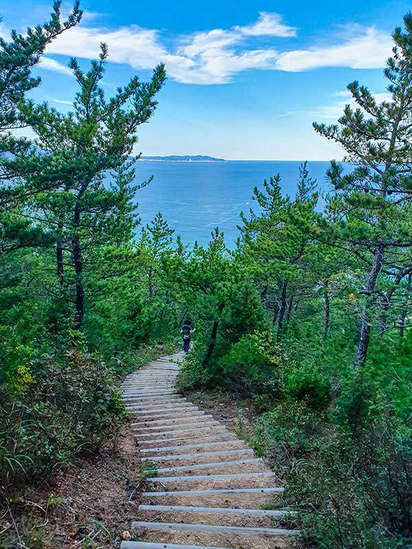 바다로 가는 고즈넉한 산길.