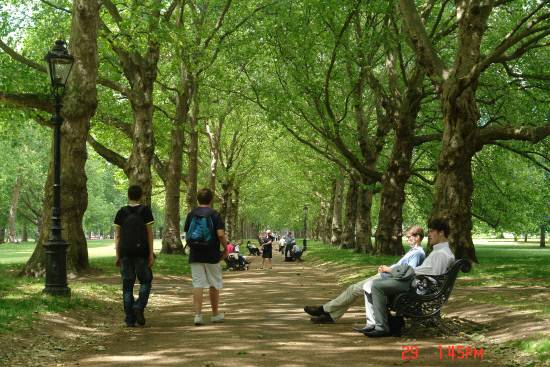 런던의 왕립공원 Green Park. 공원 산책로의 플라타너스 숲 터널 사이에서 시민들이 산책과 휴식을 즐기고 있다.