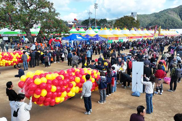 올해 청송사과축제의 황금사과를 찾아라 프로그램에 200m에 이르는 줄을 서서 기다리는 참가자들의 모습. 청송군 제공