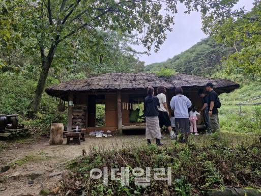 강원 양구 양지말 솔내음숲에서 열린 숲 페스티벌. (사진=배꼽유아숲체험원 제공)