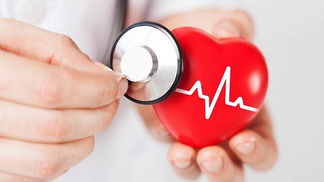 칼륨이 풍부한 버섯을 섭취하면 심장 건강에도 도움 된다｜출처: 클립아트코리아