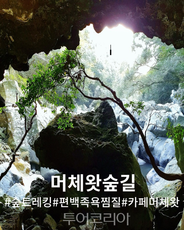 머체왓 숲. /사진-제주관광공사
