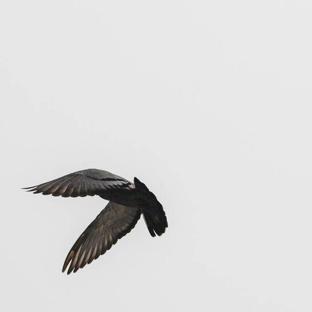 루시드폴의 앨범 ‘또 다른 곳’ 커버. 안테나 제공