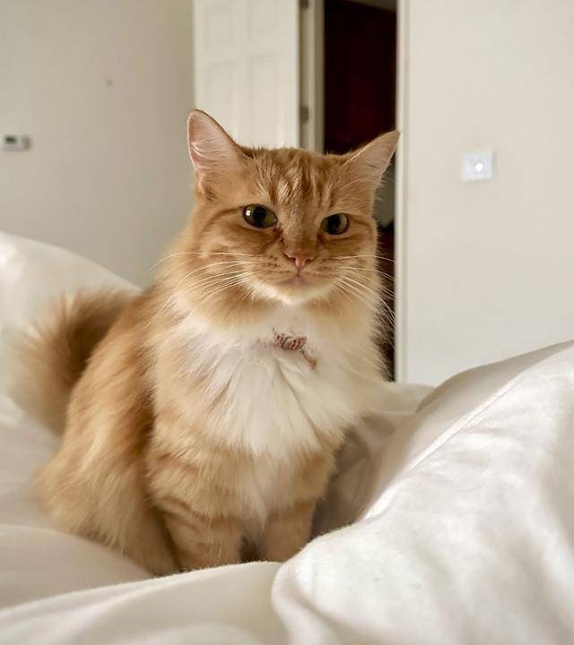 인터뷰 주인공, 날라입니다! 보호자 제공