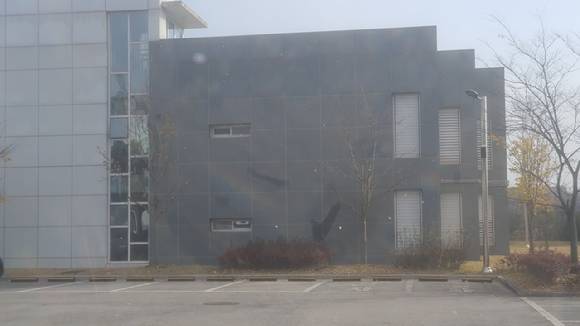 올해 홍성기상대에서 관측된 첫눈. [사진=기상청]