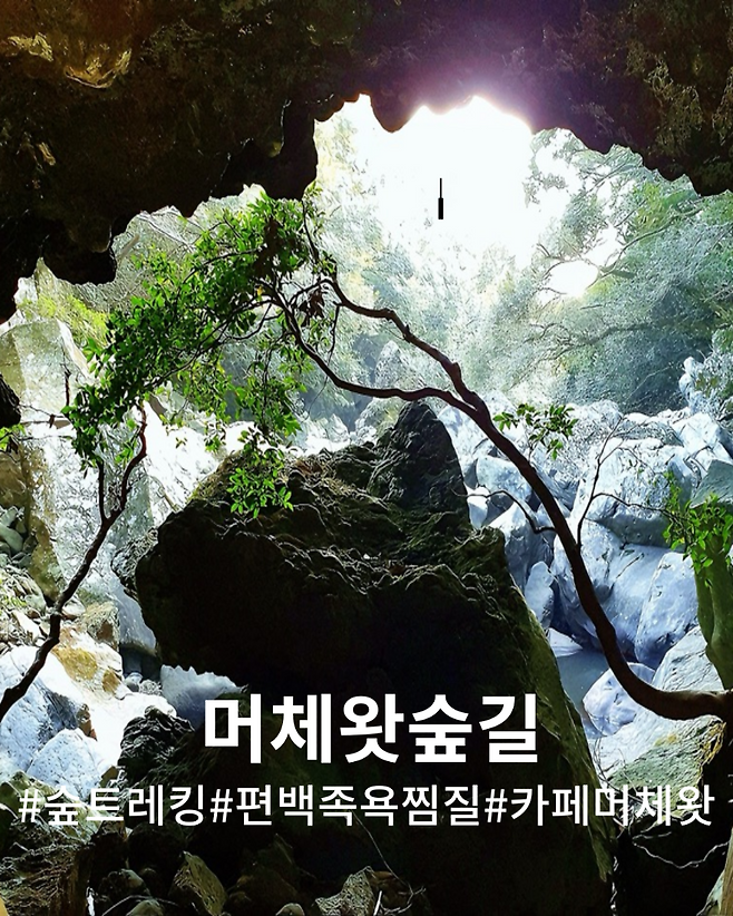 (제주관광공사 제공)