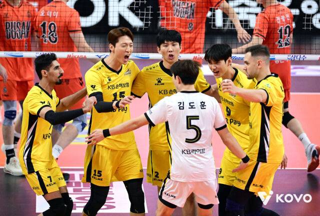 KB손해보험 배구단./KOVO